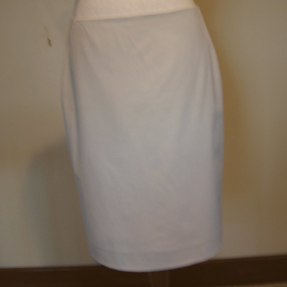 Donna Degnan Tan Pencil Skirt